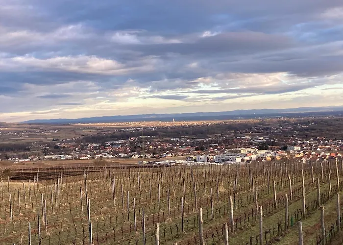 Apartment Ferienwohnung Langenlois Langenlois