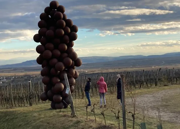 Apartment Ferienwohnung Langenlois Langenlois